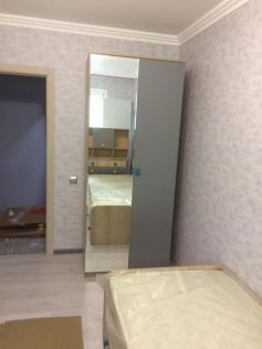 Шкаф 2х дверный с зеркалом Доминика 451